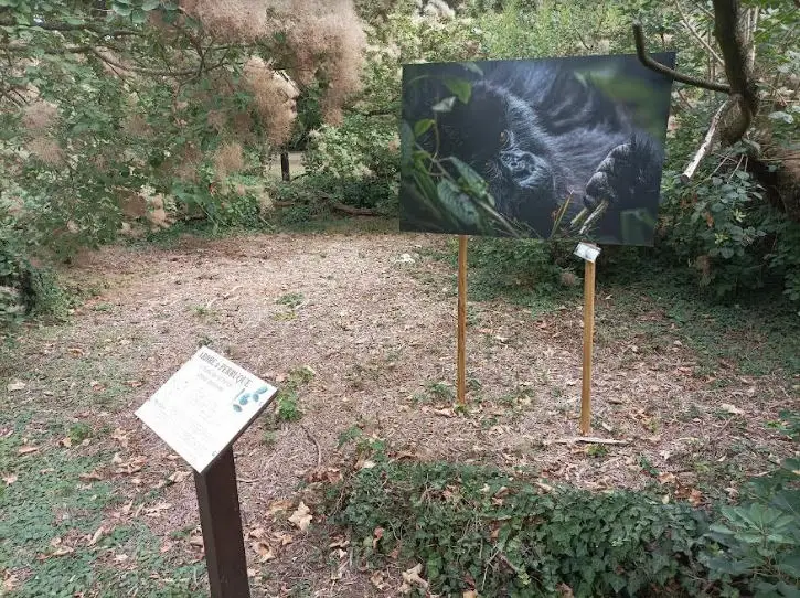 Pièce en lumière