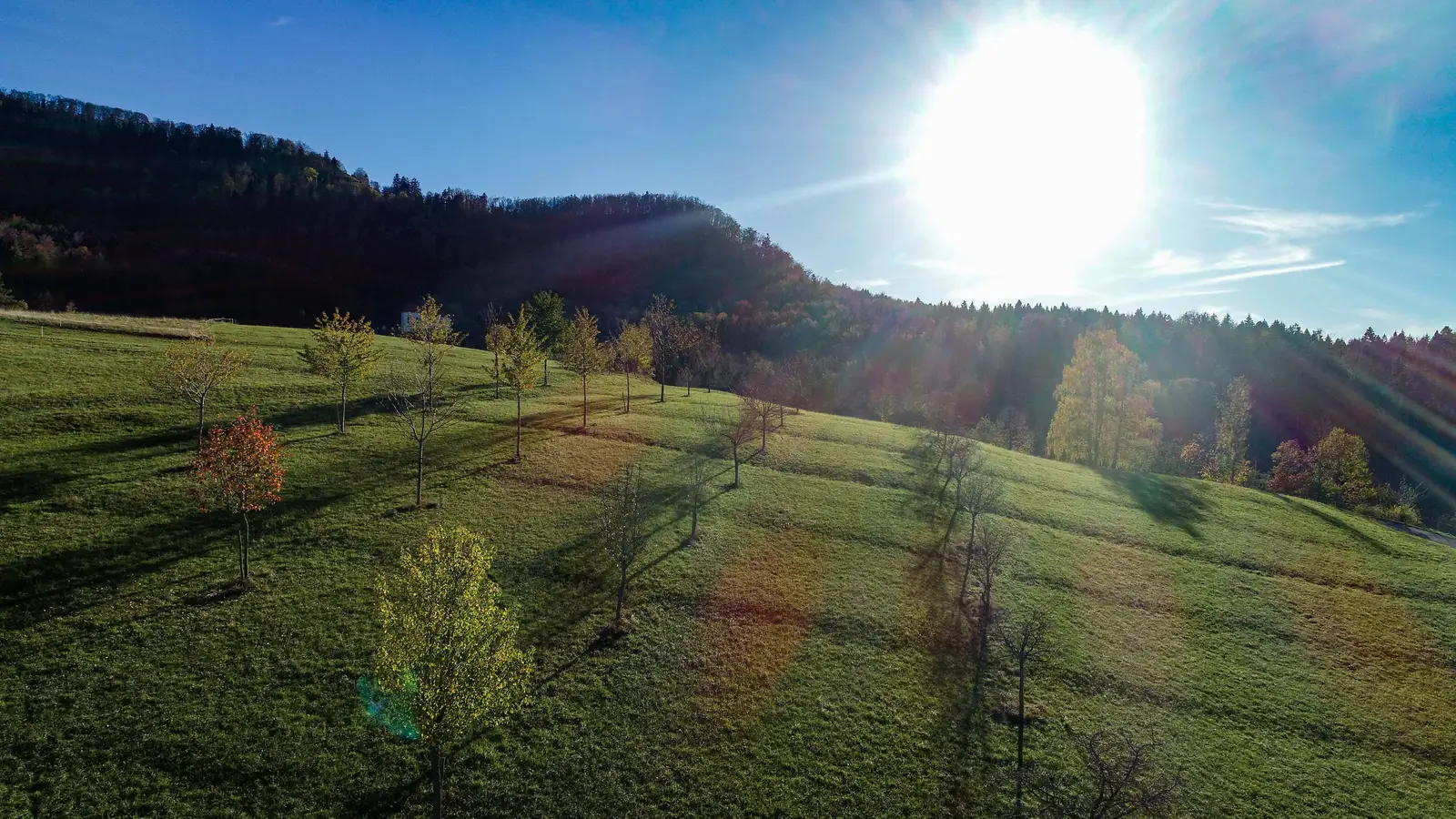 Édition visuelle, territoire au soleil